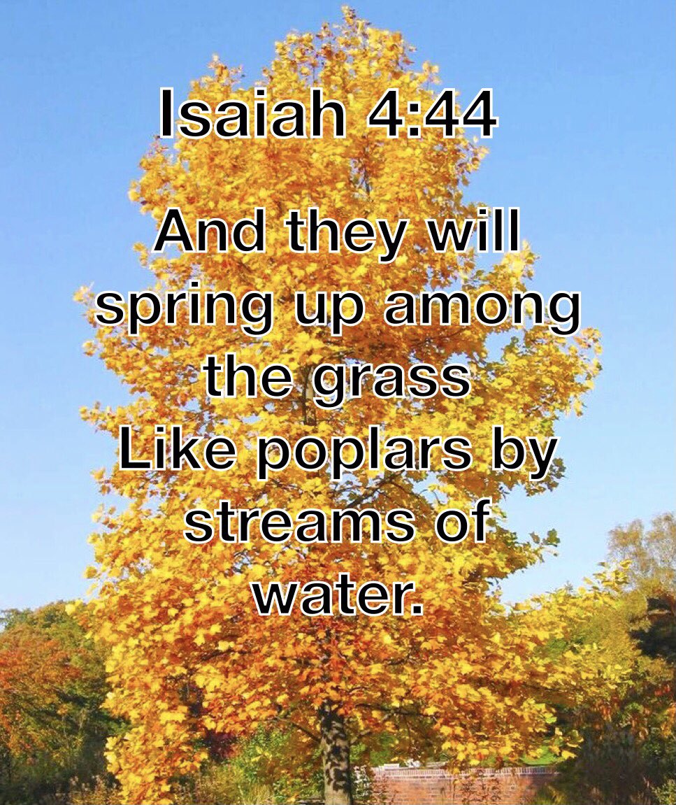 PrayTogether247's tweet photo. Creation attests to the glory of God. Creation testifies to the One who is deserving of all the glory honor and praise. His glory we cannot escape. #praisegod #prayforoneanother https://t.co/0IFDJCG18y