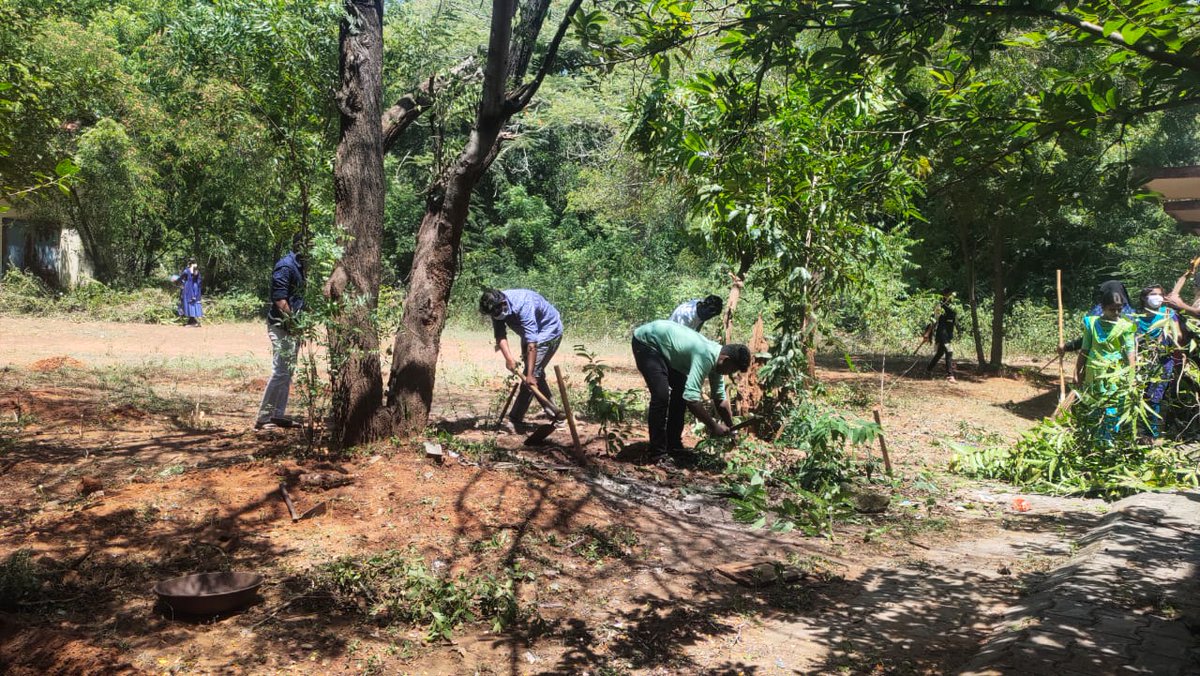 NSSChennai's tweet photo. Nss volunteers of Govt Arts College, Karaikudi involved in CleanIndia campus Cleaning activities at College campus and removed plastic wastes.
#CleanIndiaGreenIndia #swatchbharat
@YASMinistry @_NSSIndia @pibchennai @ianuragthakur https://t.co/usnjNxPQXR