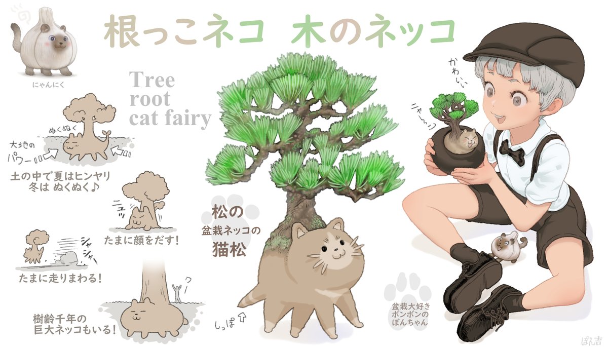 今日は #木の日 なので盆栽の根っこ猫の妖精、根っこ猫、松の盆栽根っこの猫松ちゃんをご紹介🌳🐈✨ 