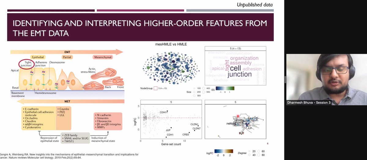 VicCanBioinf's tweet image. DB addressing the problem of large numbers of significant genes or gene sets in DE/GSEA analyses with the visualisation tool vissE. Word clouds a feature! #vcbs2021