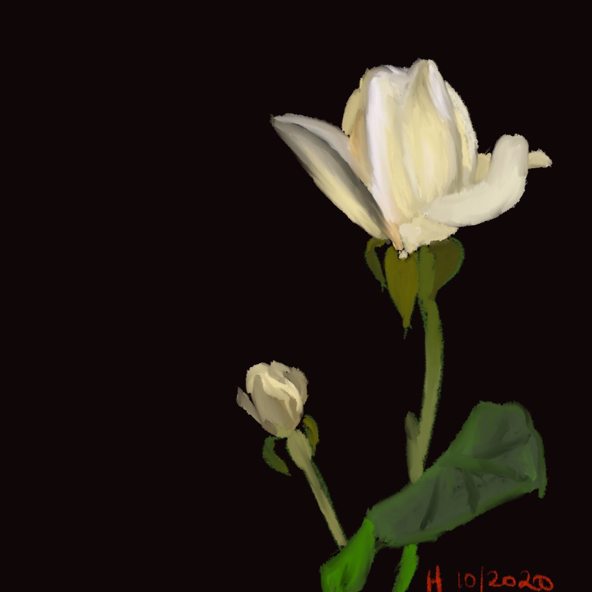 ZeeCamNopez's tweet photo. More #digitalpainting from last year. I think this was with Art Set which I hardly use. I’m more of a Procreate fan. But #ArtSet have their cool bits too.
#digitalart #digitalflower #rose https://t.co/jxCLPFThGm