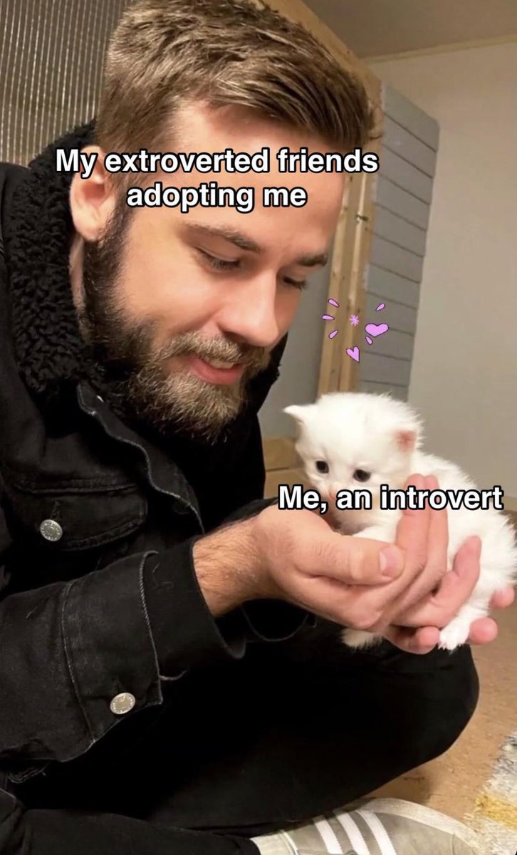 Respectful Memes (@respectfulmemes) on Twitter photo 