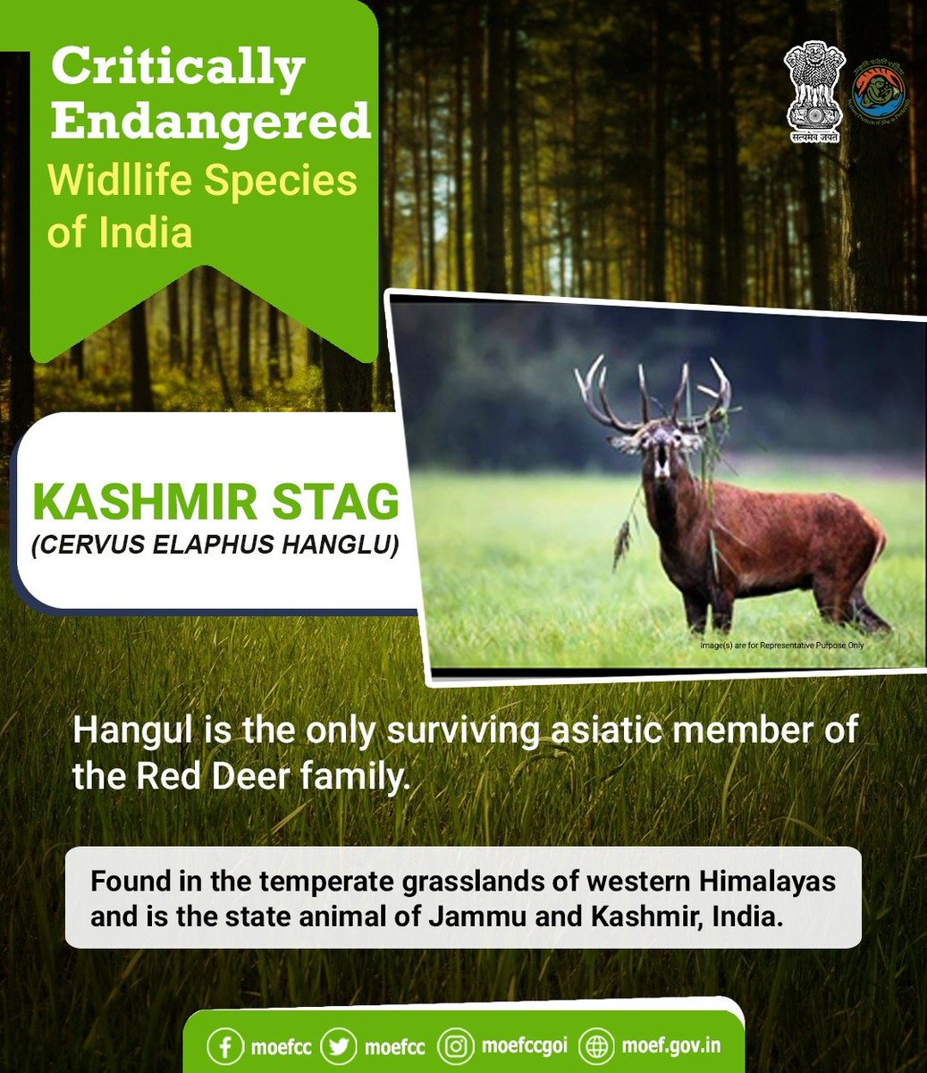moefcc's tweet photo. #CareWillProtect
#SaveLifeInWild https://t.co/TEtygGuC0x