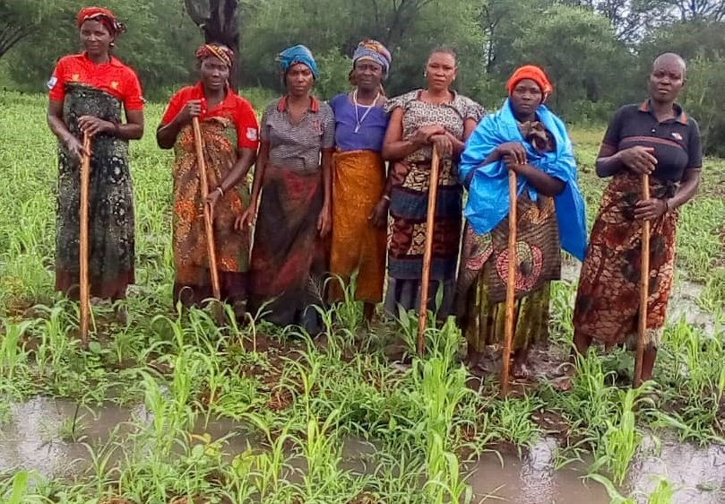 GLDC_CGIAR's tweet photo. #Tanzania 

@GLDC_CGIAR has helped improve adoption of new sorghum &amp; groundnut varieties by developing capacities of 11 small &amp; medium seed enterprises &amp; conducting variety demo to raise awareness among #farmers. https://t.co/EW5HPZrFW1

#OneCGIAR @CGIAR @ICRISAT @TanzaniaTari https://t.co/RxsoAiQ3Yf