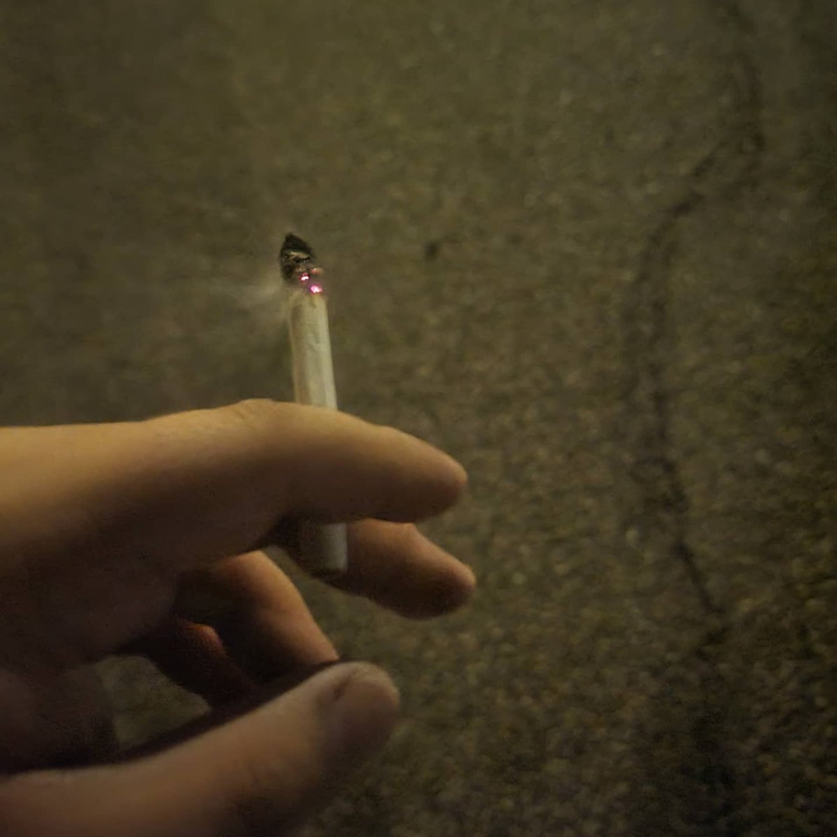 B_Dragonblade's tweet photo. Wishing I had my own house/property, it sucks having to become a secret agent man 😒😭😂 #SecretAgentMan #SecretAgent #420 #Weed #LetsGetHigh https://t.co/ctdhMhKMKk