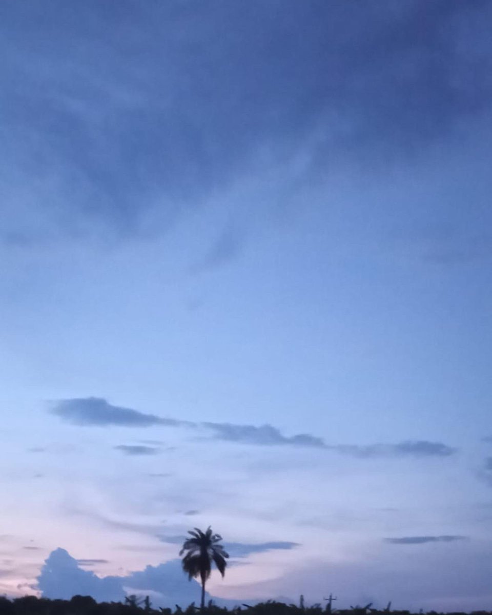 CancerArtProje3's tweet photo. Superb #landscapephotography from 11 yrs old Saheli Biswas #cancerkid from her village in Kolkata
#cancersurvivor #CancerAwareness #photography https://t.co/BSiAQuD58p