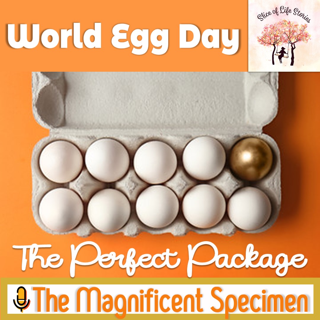sliceoflife466's tweet photo. #WorldEggDay with🎙The Magnificent Specimen
▶https://t.co/7Roia5KJAU #perfect #the #bestoftheday #perfectway #package #thenextbigthing #perfectday #lifestyle #nature #podcast #podcasting  #podcasts #spotify #podcastlife #podcaster #youtube #radio #music #podcastshow #newpodcast. https://t.co/52SzMu71Lc
