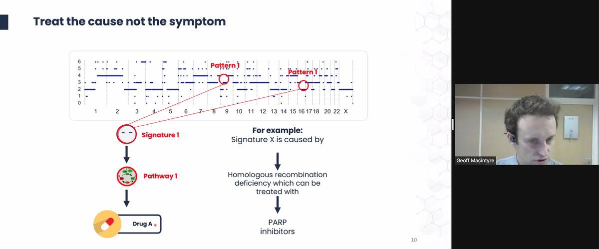 VicCanBioinf's tweet image. GM talking about CIN: chromosomal instability, and looking for the cause of the insatbility through signatures, &quot;footprints&quot;, in the instability. #vcbs2021