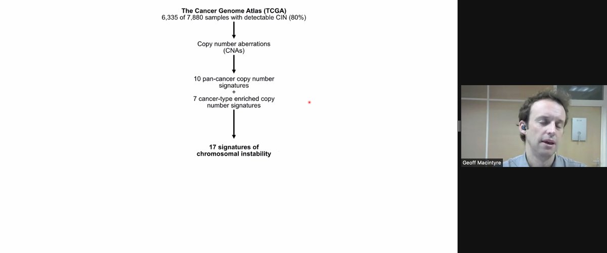 VicCanBioinf's tweet image. GM using copy number profiles from TCGA genomes to perform Negative Matrix Factorisation, finding recurring copy number signatures. #vcbs2021