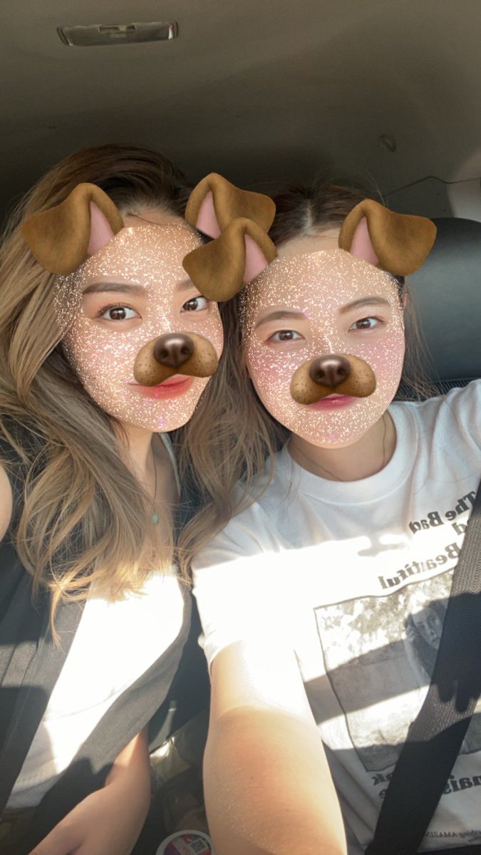 _miki721's tweet photo. わんわん集🐶 https://t.co/MEY6FWbLAA