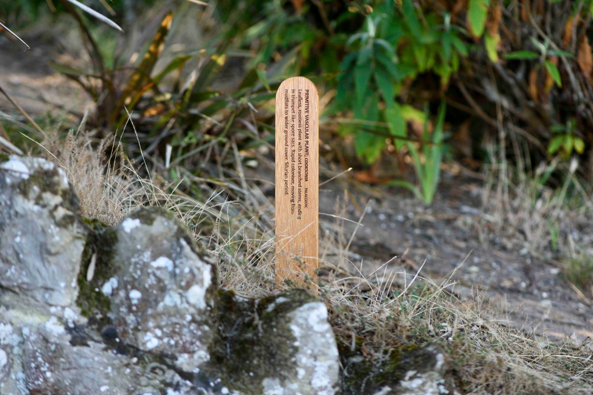 Margate NOW tweet media