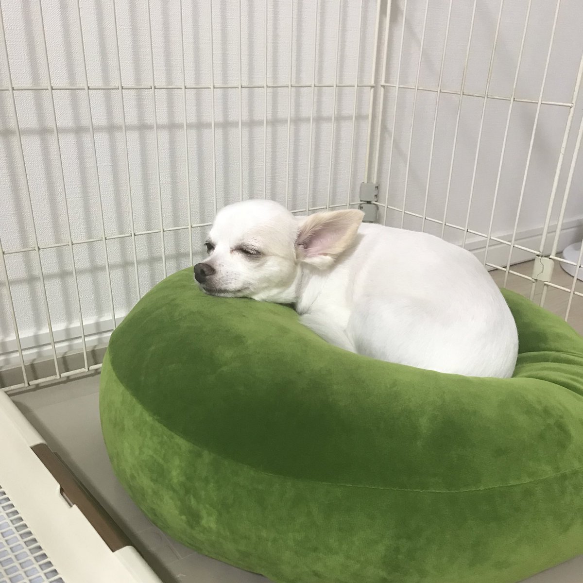 三咲麻里 Msk V3v Twitter