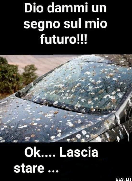 2849Dama's tweet photo. #lassaperde ...😆🤦 https://t.co/9PIlrFjdrL
