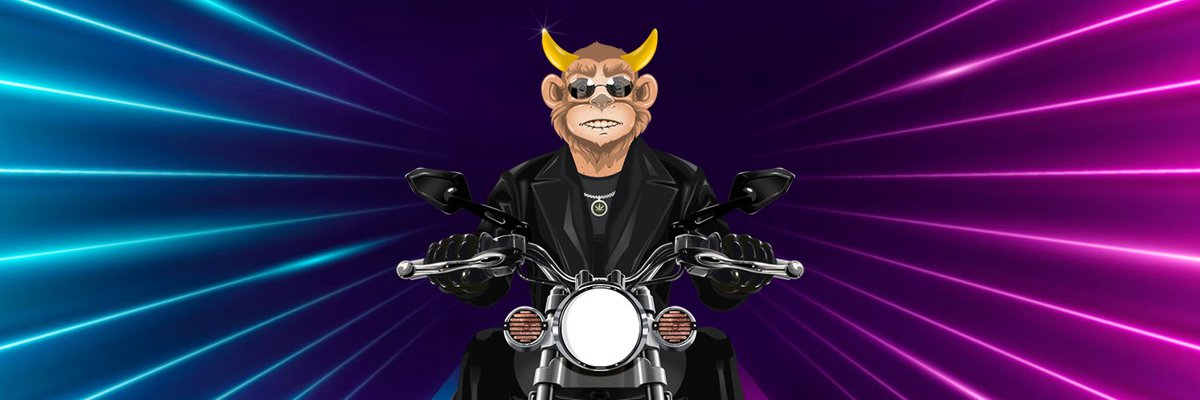 solbikers tweet media