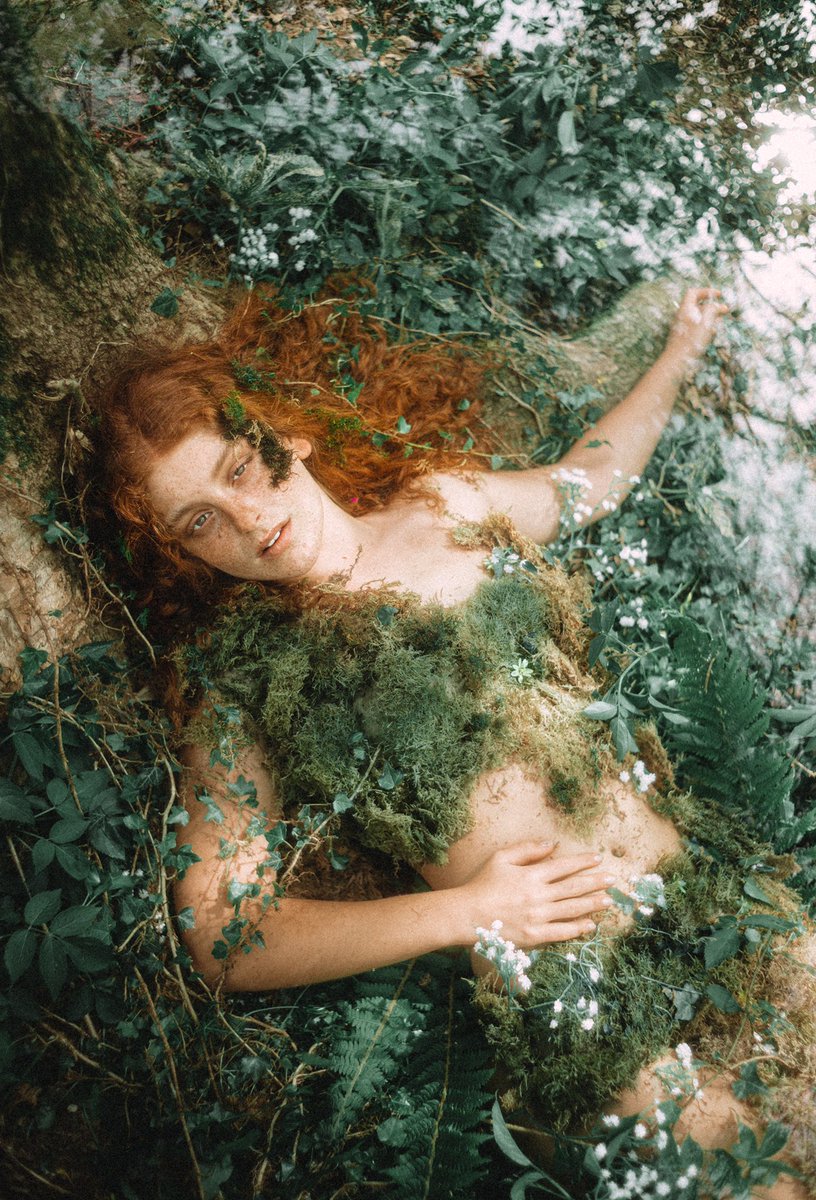 el bosque está vivo