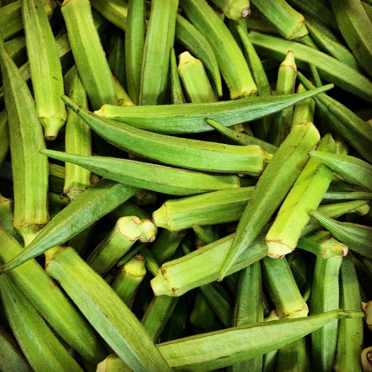 delhish's tweet photo. Dishes made with fresh OKRA, 
BITTER MELON &amp; TURMERIC only @delhish 

Open today from 4-9pm. Make a booking at https://t.co/eNfJ09Uy1Z

#vegan #veganfood #vegancommunity #instavegan #instagram #foodtweet #Food #yummy #foodie #delicious #dinner #foodstagram #instafood #foodpics https://t.co/5YboMice32