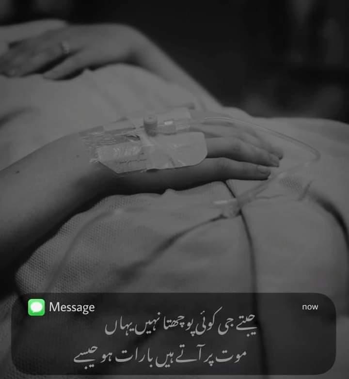 Masood Rahim (@masoodrahim6) on Twitter photo  Masood Rahim (@masoodrahim6) on Twitter photo