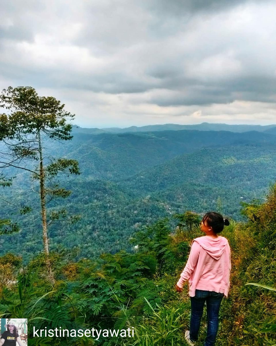 BlusukanBantul's tweet image. Reposted from @kristinasetyawati Mendung tanpo udan..🌪️☁️

#blusukanbantul
#visitkulonprogo
#explorekulonprogo
#pesonakulonprogo