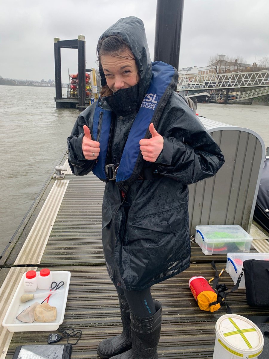 ZSLMarine tweet media