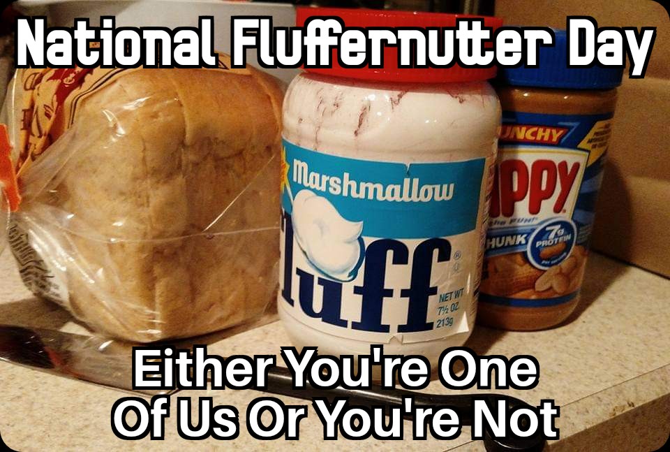 Cat Wilson (Cape_Cod_Cat) Twitter