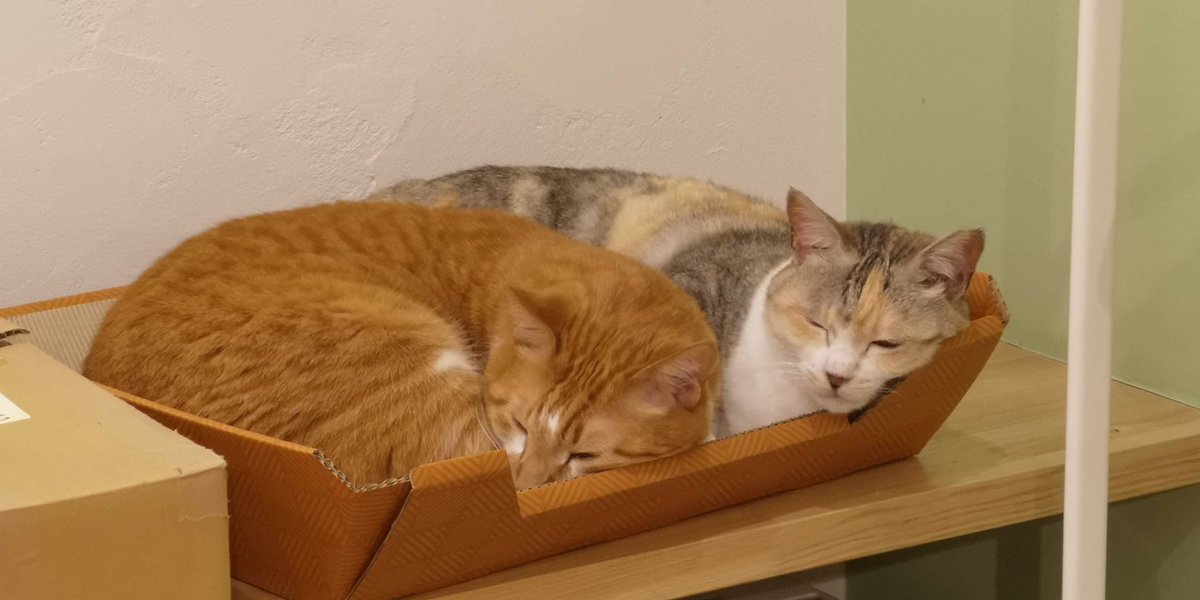 今週もお疲れ様でした🐾