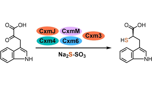 Angewandte Chemie tweet media