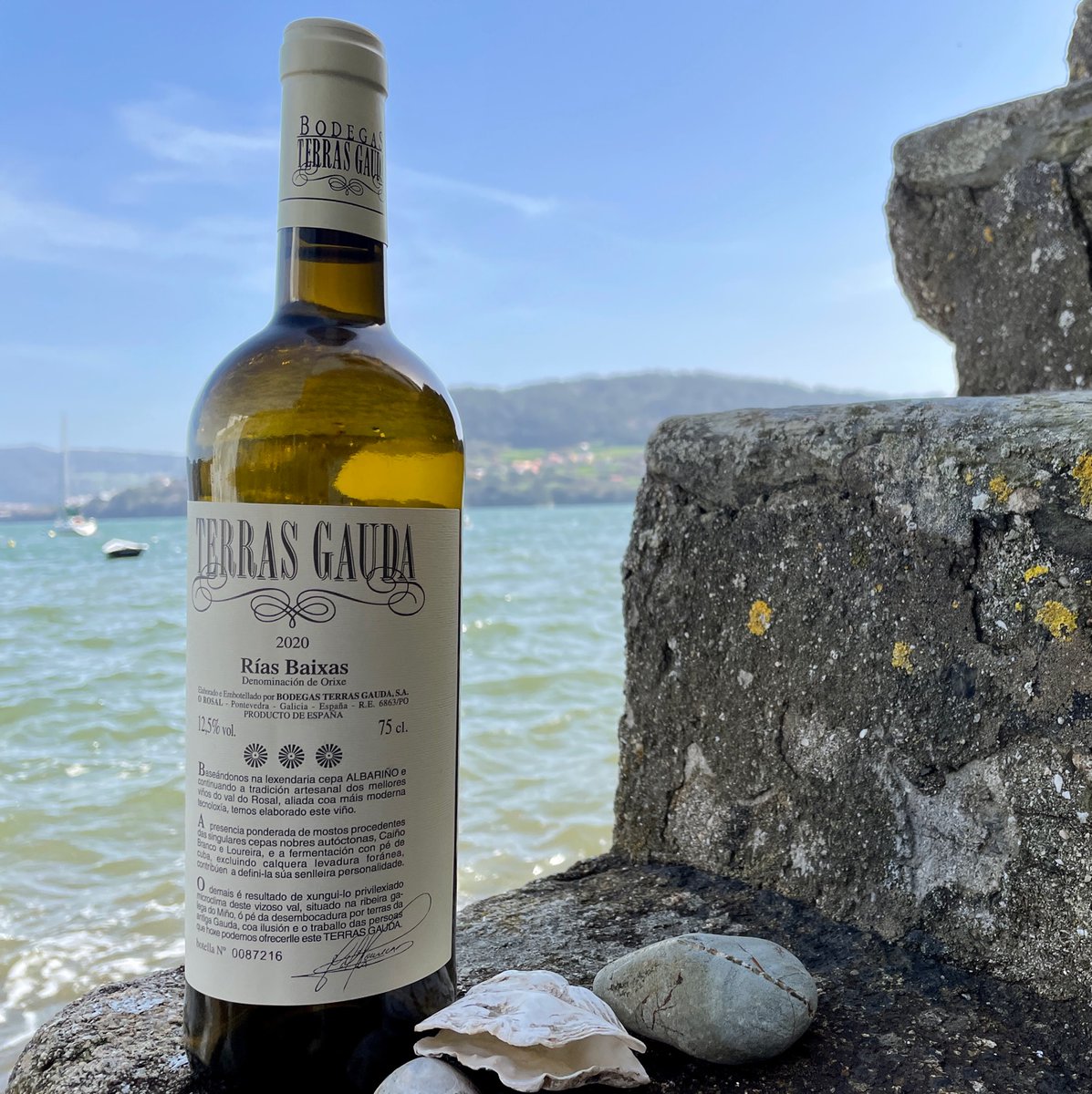TerrasGauda's tweet photo. El poder del mar, el poder de Terras Gauda 2020: 70% #Albariño, 22% #CaíñoBlanco y 8% #Loureiro.
#BodegasTerrasGauda #TerrasGauda #DORíasBaixas https://t.co/xqRusLITU8