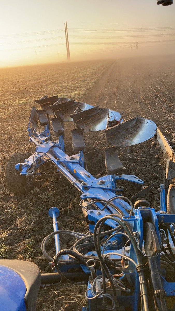 Hilde Coolman tweet media