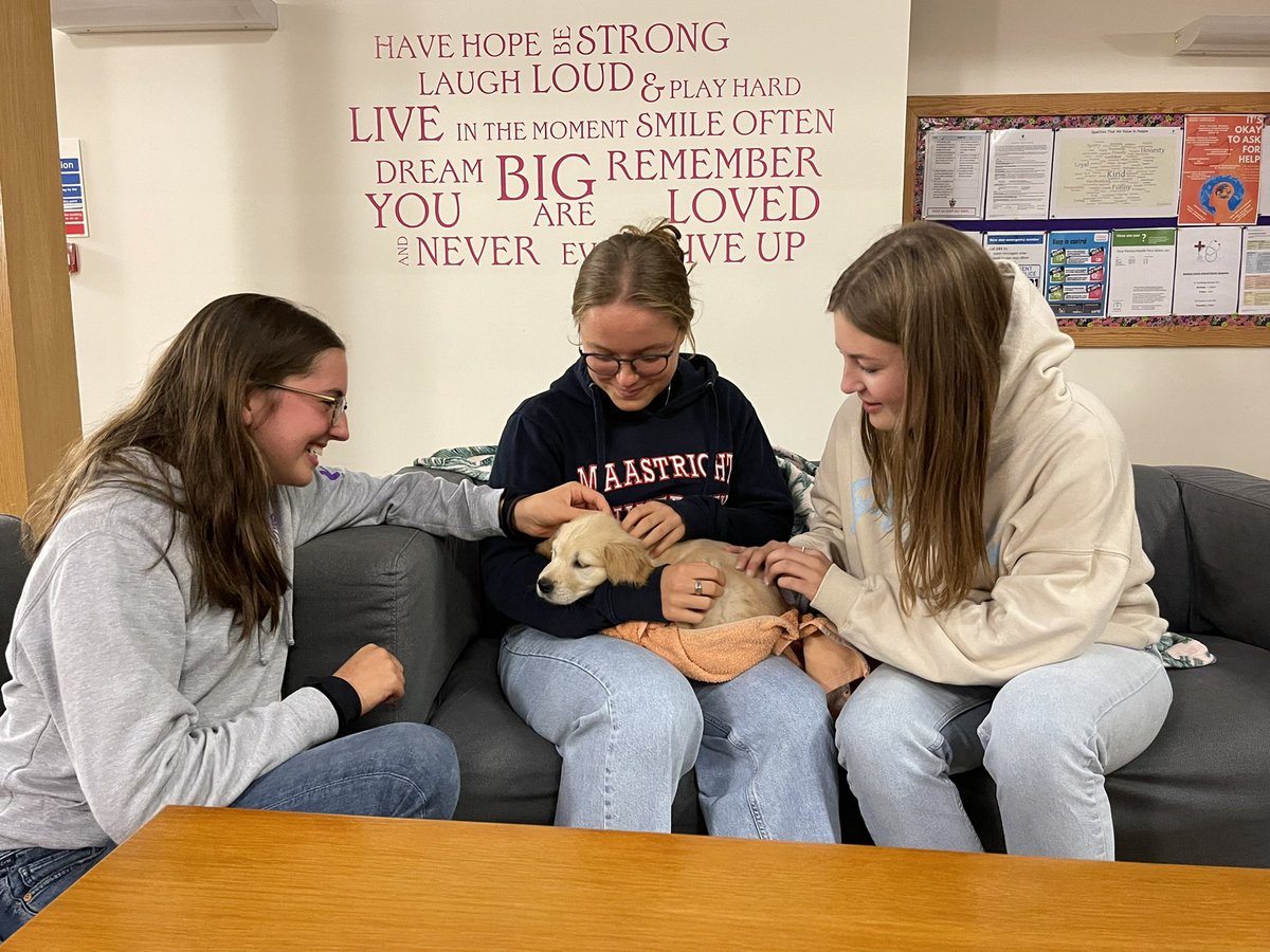 SLC_Bellerby's tweet image. The girls enjoyed lots of fluffy cuddles and some home comforts when a very special guest visited this weekend #puppylove #welcomevisitor #calminginfluence #specialmoments #goldenretriever #cute #wearefamily #Iloveboarding