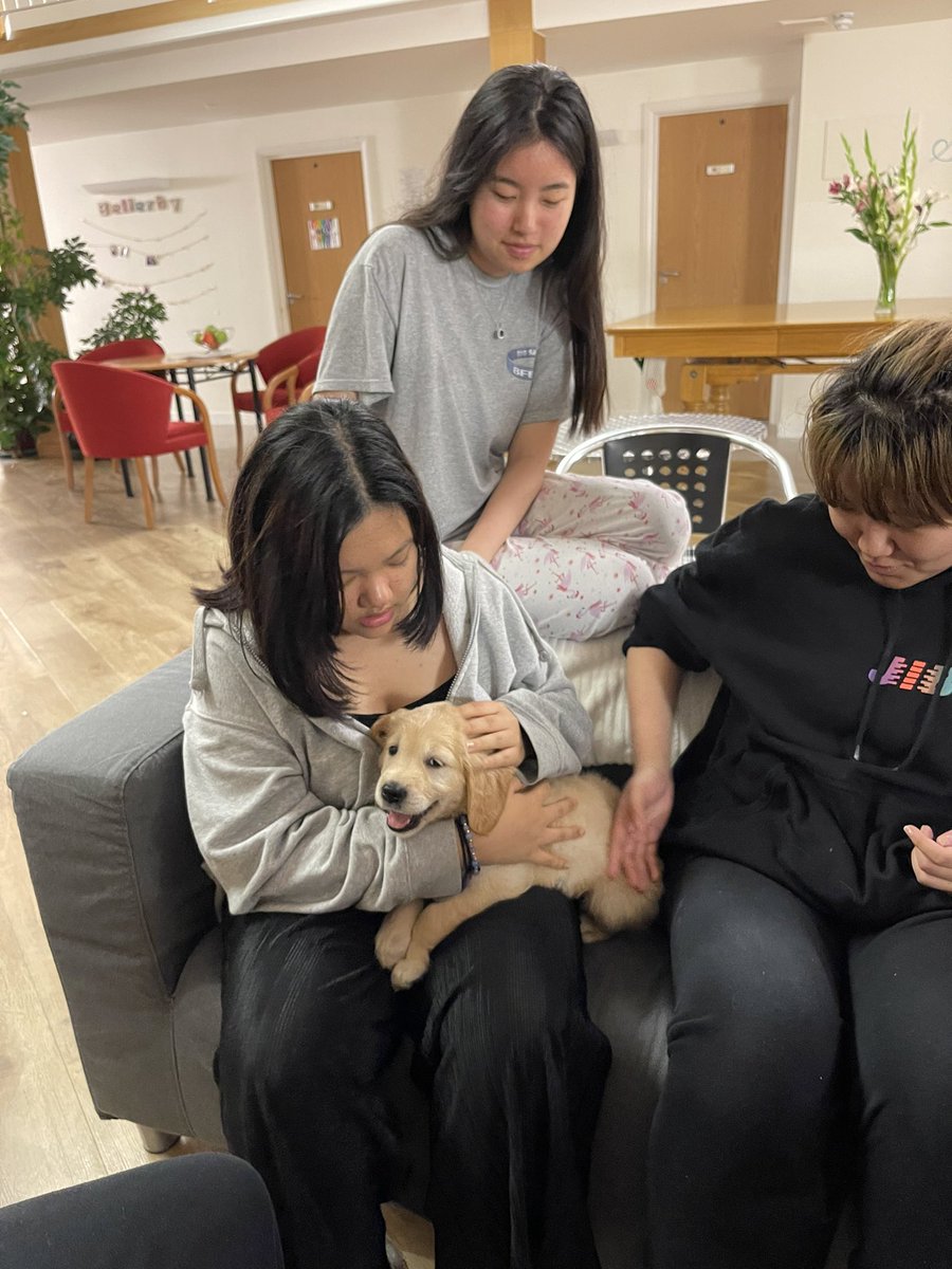 SLC_Bellerby's tweet image. The girls enjoyed lots of fluffy cuddles and some home comforts when a very special guest visited this weekend #puppylove #welcomevisitor #calminginfluence #specialmoments #goldenretriever #cute #wearefamily #Iloveboarding