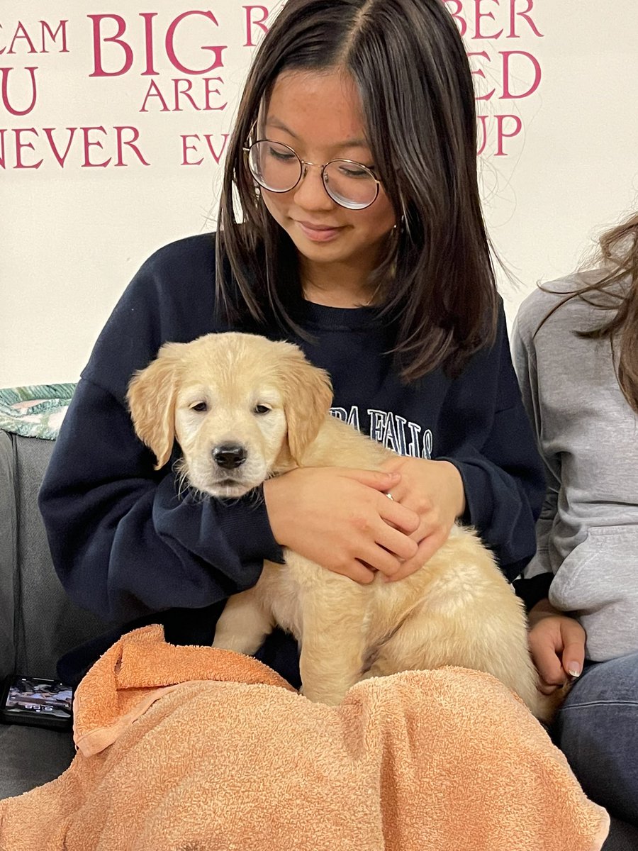 SLC_Bellerby's tweet image. The girls enjoyed lots of fluffy cuddles and some home comforts when a very special guest visited this weekend #puppylove #welcomevisitor #calminginfluence #specialmoments #goldenretriever #cute #wearefamily #Iloveboarding