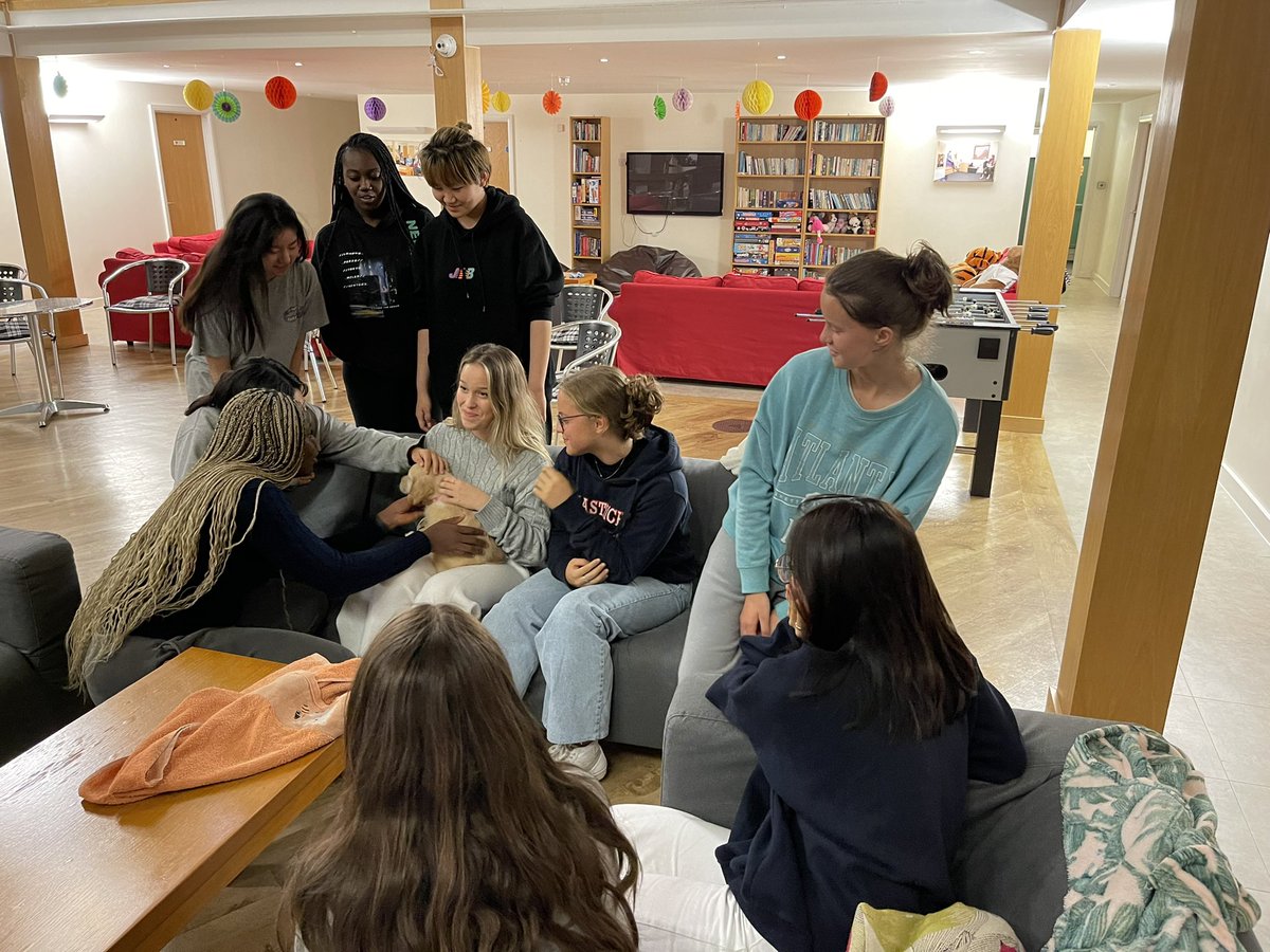 SLC_Bellerby's tweet image. The girls enjoyed lots of fluffy cuddles and some home comforts when a very special guest visited this weekend #puppylove #welcomevisitor #calminginfluence #specialmoments #goldenretriever #cute #wearefamily #Iloveboarding