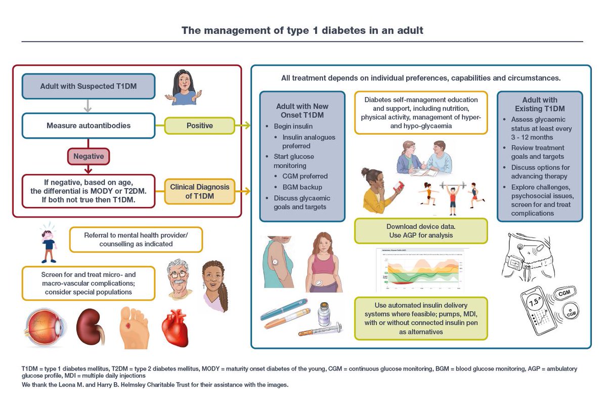 The 1st consensus report on the management of type 1 diabetes in adults by the American Diabetes Association (ADA) & the European Association for the Study of Diabetes (EASD) has been published. #T1D #consensusstatement @EASDnews @AmDiabetesAssn bit.ly/3uv4nHp #toptweet