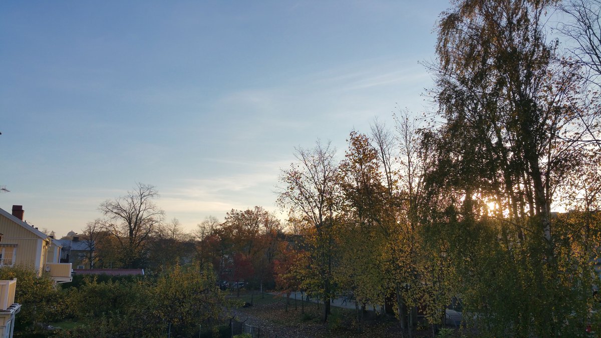 alexander_suh's tweet image. What&apos;s this, sunshine in Uppsala in October?! Even the weather is celebrating #transposon research/researchers today - looking forward to the second day of #UppTransposon2021 on Zoom, followed by socializing on SpatialChat.