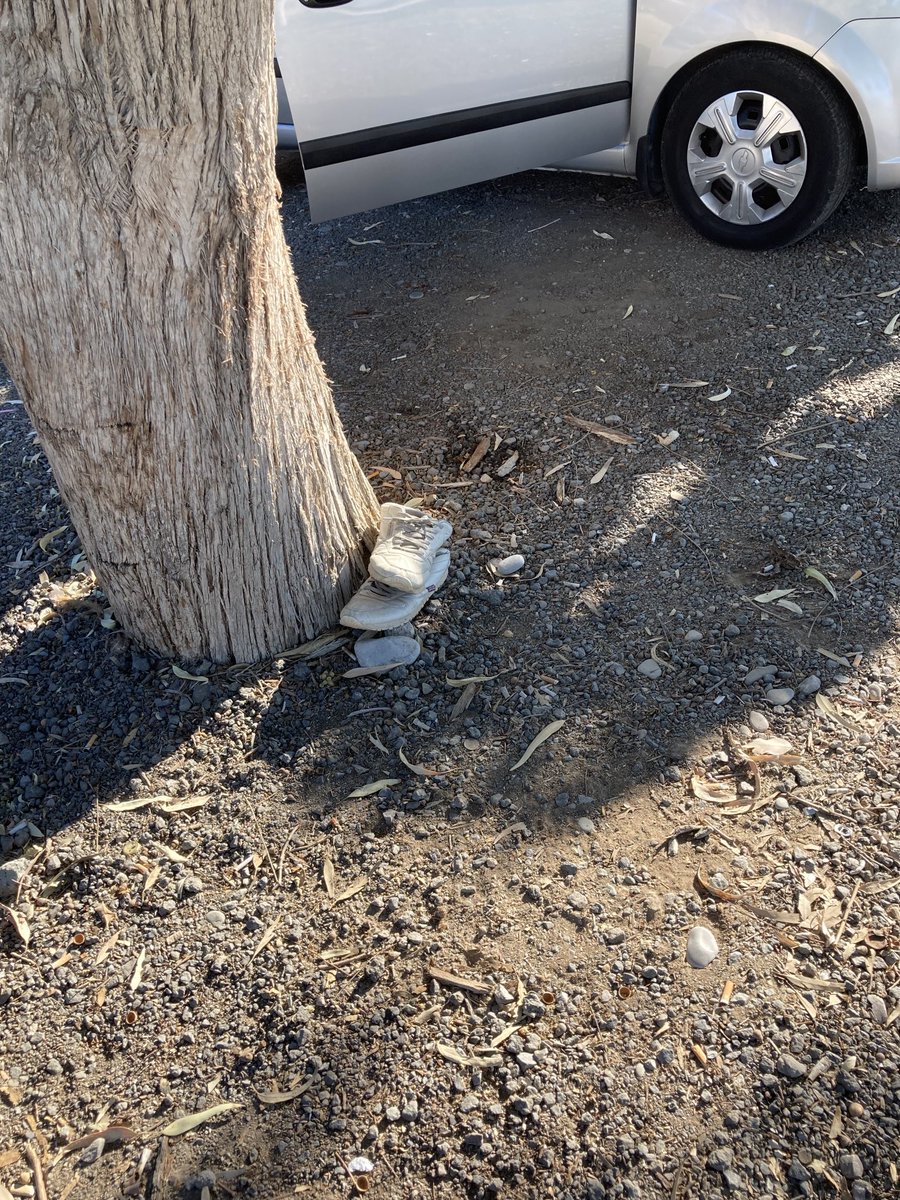 DianeDevlin11's tweet photo. ⁦@andy_murray⁩  are you in Paphos now ? Just found these near a Beach 🤷‍♀️ https://t.co/sJZow1EcEt