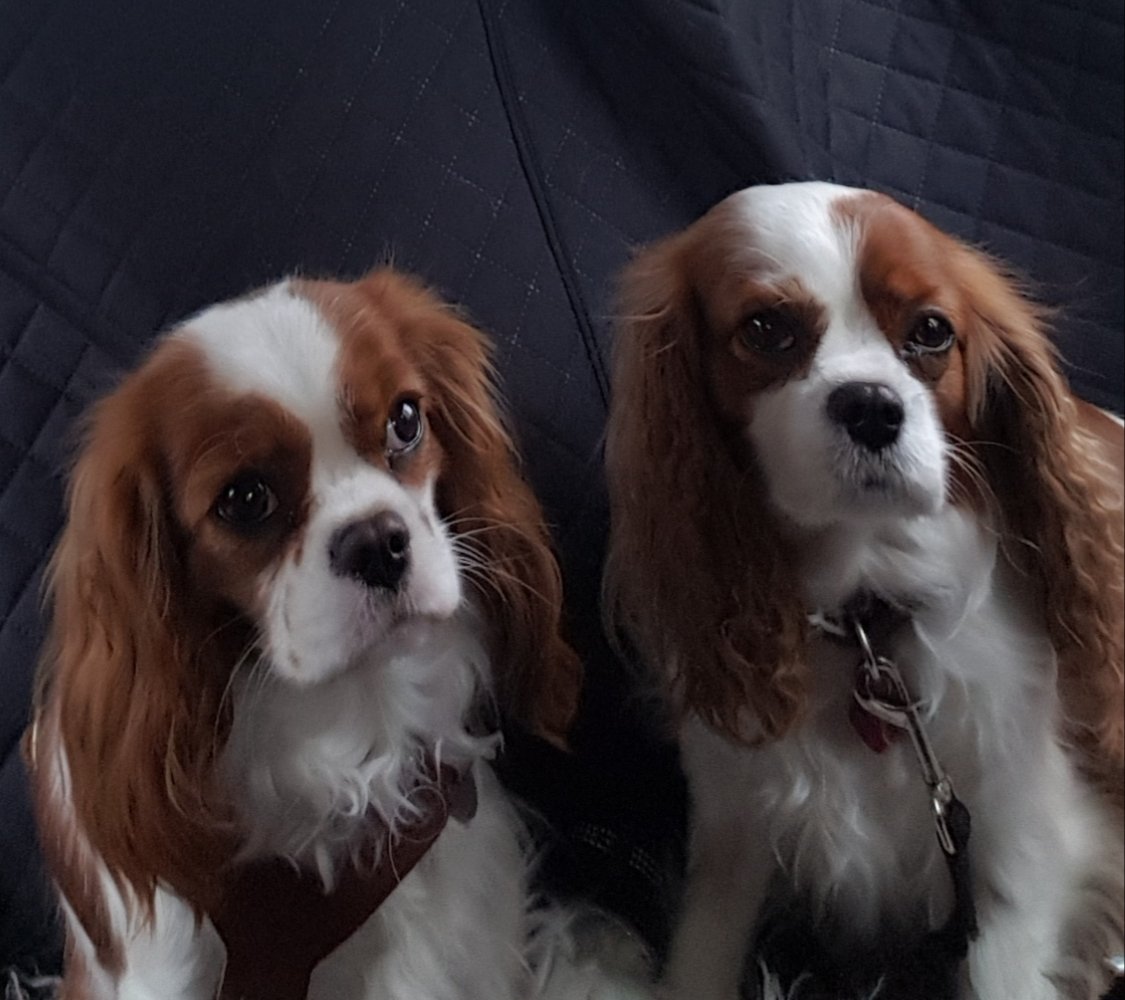 ##cavpack Me and my mum Dharma ❤