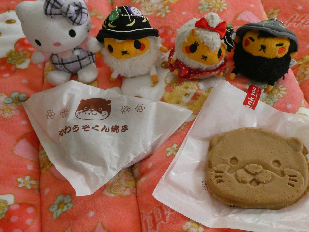 華 V Twitter 母と伊勢シーパラダイスも行ってきたの ᴗ 母はイルカさんにボールで遊んでもらったんだけど動画撮ってあげるの忘れたから何もないんだけど 笑 帰りにかわうそくん焼き買って帰って来たんだけど美味しかった ᵕ