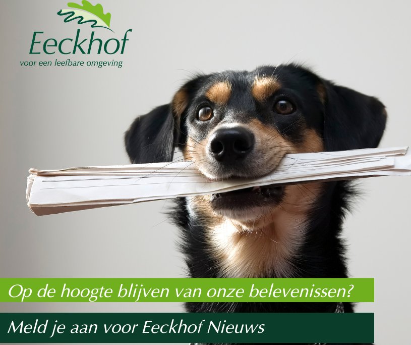 Onze eerste nieuwsbrief is uit. Vanaf nu nemen we je een aantal keer per jaar mee in ons werk en delen we onze kennis en ervaringen. 

Lees je mee? 
mailchi.mp/eeckhof/okt21

Ook 6 keer per jaar onze nieuwsbrief in je mailbox?  Meld je aan:  eepurl.com/hJjhsz