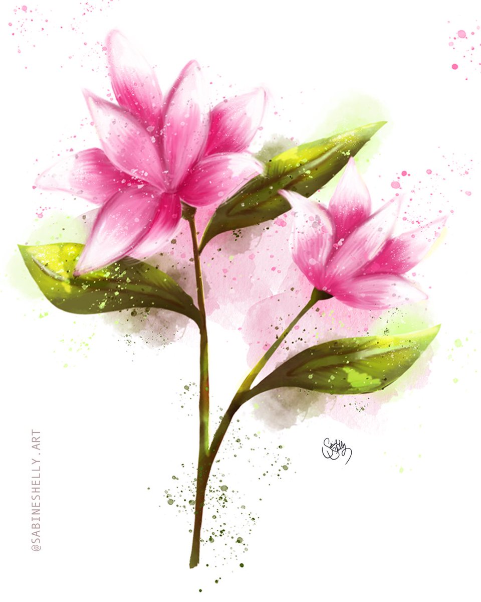 sabineshellyArt's tweet photo. May we never lack love, either FLOWER. 🌸
#flor #flowers #magnolia #liverpool #flowersofinstagram #artgallery #art #digitalillustration #digitalpainting #digitalart #loveart #artwork #artoftheday #design #designerinspired #graphicdesign #designlovers #xppen #artist22rpro https://t.co/CT5RClCTFZ
