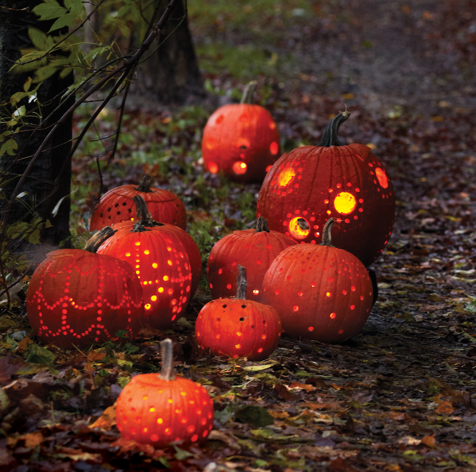 franktalking's tweet photo. Dress up, decorate and stay in after dark to enjoy tricks, treats and a spooky family evening.

https://t.co/B6SvJqS0lj https://t.co/crcl5oShBy