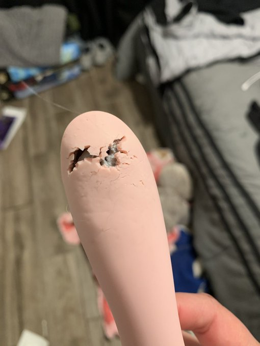 Sasha chewed my favorite vibrator  ... I'm so fucking pissed right now https://t.co/tBjegVxlj3