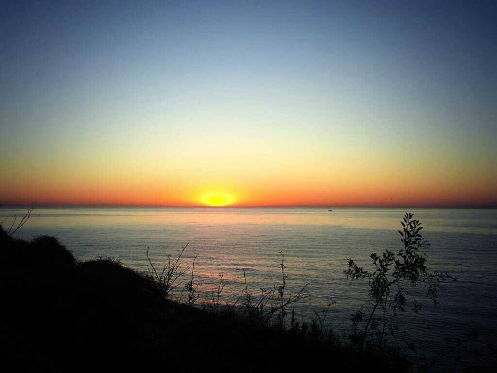 Castillo del Marqués tweet media