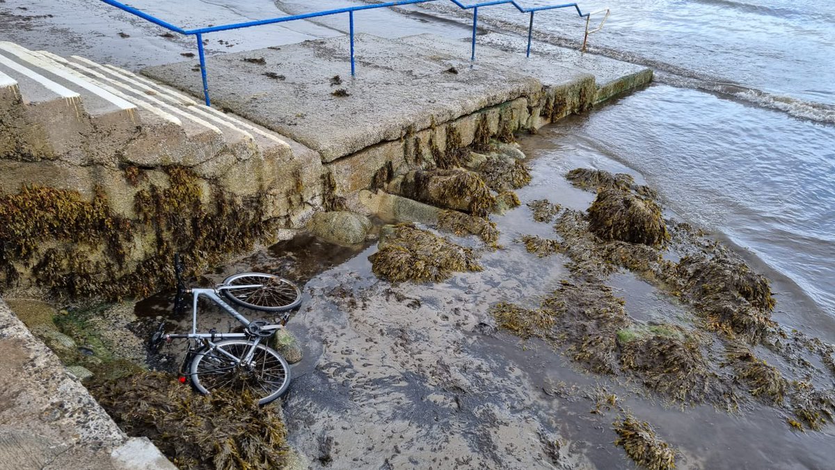 flossiebeachcl1's tweet photo. Super sleuth Friday🕵️‍♀️Look at this perfectly good bike - it’s a little dented but works. If you know anyone who had their GIANT bike stolen, please let us know. It washed in at Seapoint! https://t.co/UWrcJpWYpk
