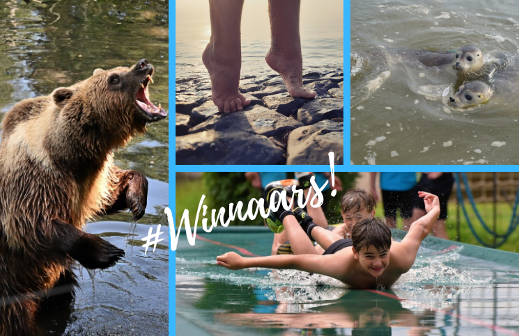 De winnaars van de fotowedstrijd 'Waterplezier' zijn bekend. Van harte gefeliciteerd Simone Valom, Priscilla Miedema, Vaya Tousain en Peter Ruigrok. Heel veel plezier met jullie cadeaubon! ringfoto.nl/fotowedstrijd-…