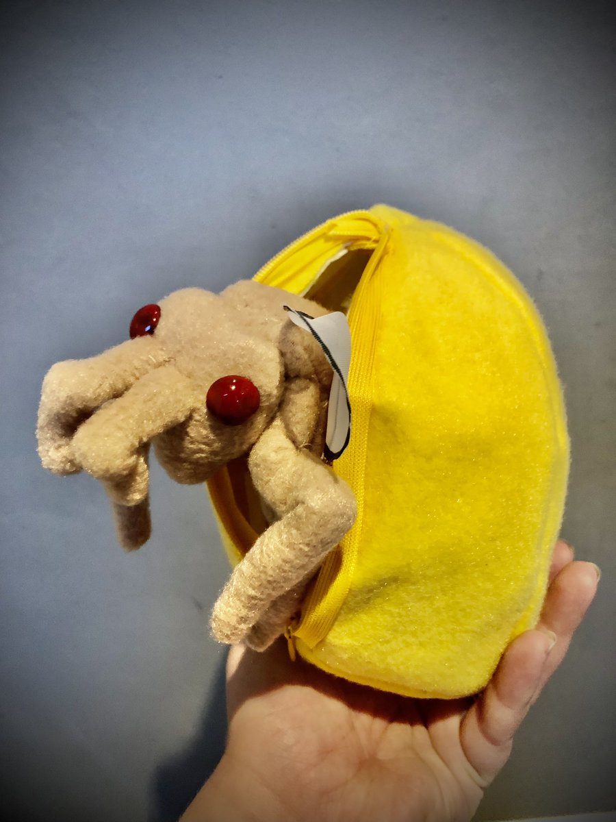 Cindysartnl's tweet photo. A close up of the Trichogramma #hugbug coming out of a butterfly egg https://t.co/xzCu0Z8s4I
