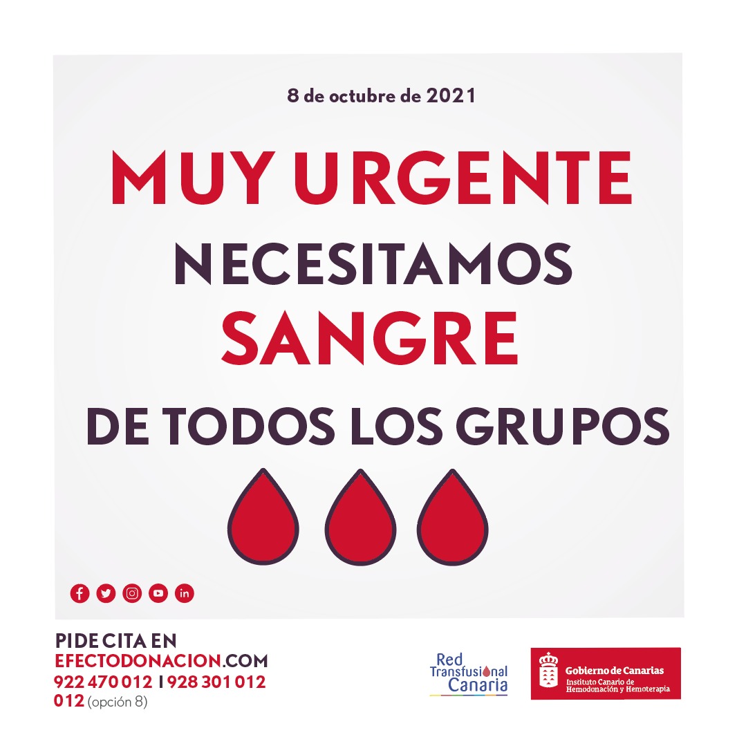 ichhCanarias's tweet photo. 🟥 🟥 MUY URGENTE 🟥 🟥

⭕⭕ URGE SANGRE DE TODOS LOS GRUPOS, ¡¡TE NECESITAMOS‼️

PIDE CITA YA 👇🏻

📞 012 | 922 470 012 | 928 301 012 -opción 8-
📲 Formulario web 🔗 https://t.co/Ej5a0QsT8i

¿Dónde? ⤵️ https://t.co/ipllnNdgP3. 

#ÚnetealClubdelos300

¡COMPÁRTELO!  🙏🏻 https://t.co/q7WW02byxS