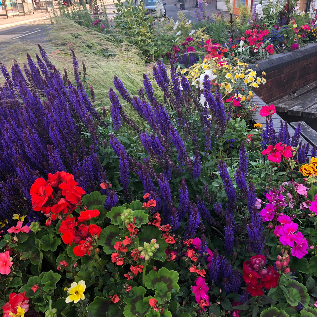 Ann Hunter, InExeter (@exeter_bid) on Twitter photo Honoured for <a href="/tweetinexeter/">InExeter</a> to have been awarded a Silver Gilt at the <a href="/The_RHS/">The RHS</a> South West in Bloom competition in our first year of entry. Thanks to all our partners for their involvement <a href="/ExeterCouncil/">Exeter City Council</a> <a href="/Princesshay/">Princesshay</a> <a href="/GuildhallShops/">Guildhall Shopping</a> <a href="/ExeterCollege/">Exeter College</a> and Boyces at Manstree. Honoured for <a href="/tweetinexeter/">InExeter</a> to have been awarded a Silver Gilt at the <a href="/The_RHS/">The RHS</a> South West in Bloom competition in our first year of entry. Thanks to all our partners for their involvement <a href="/ExeterCouncil/">Exeter City Council</a> <a href="/Princesshay/">Princesshay</a> <a href="/GuildhallShops/">Guildhall Shopping</a> <a href="/ExeterCollege/">Exeter College</a> and Boyces at Manstree.
