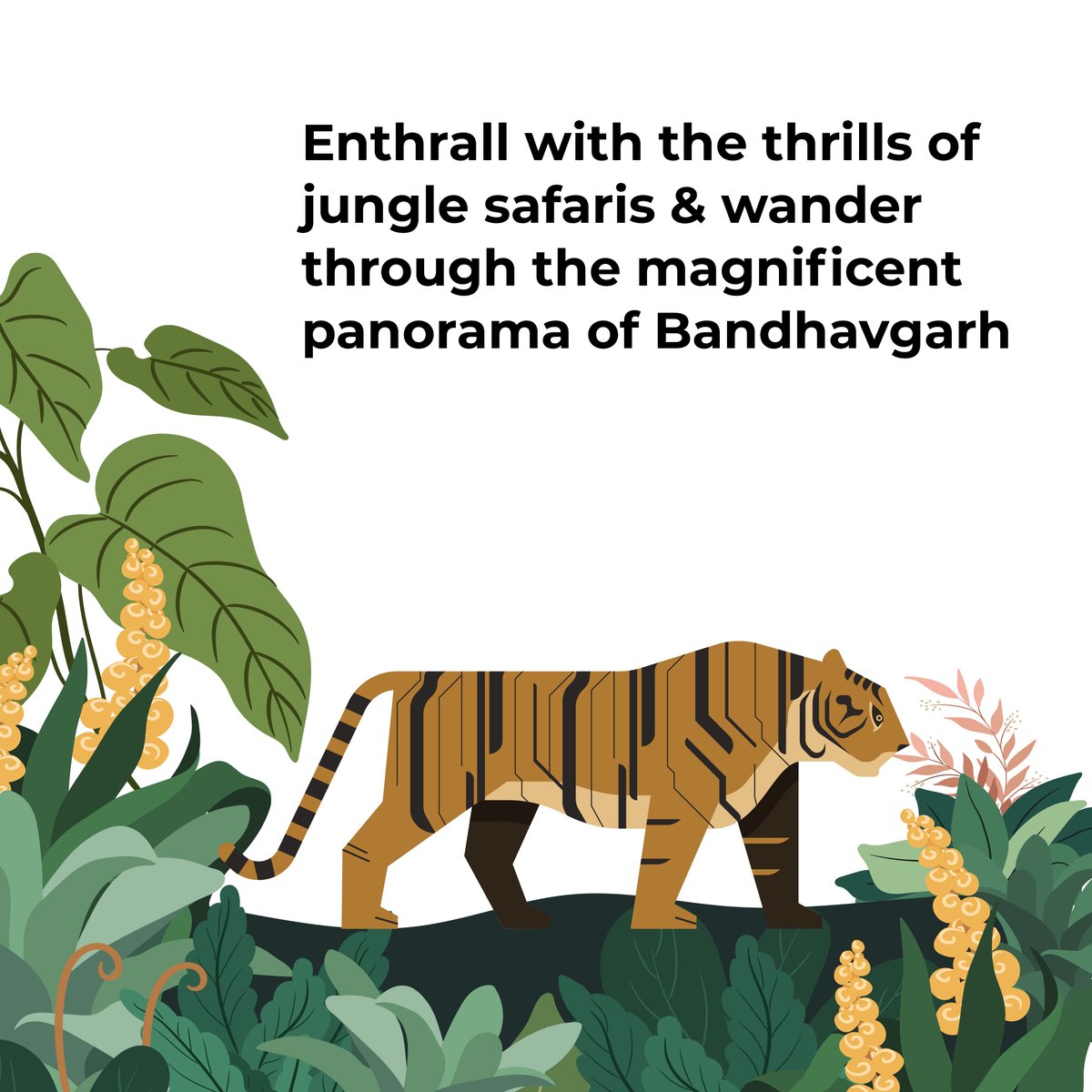 RenestManali's tweet photo. Get rid of your same old vacation plans and be ready to explore the wild &amp; enthrall the thrills of jungle safaris only at Renest Bandhavgarh Meadows.
#RenestHotels #RenestResorts #RenestBandhavgarhMeadows #Boutiquehotels #Hospitalityindustry #ComingSoon #Wildlife #junglesafari https://t.co/Fp0Rd42TLK