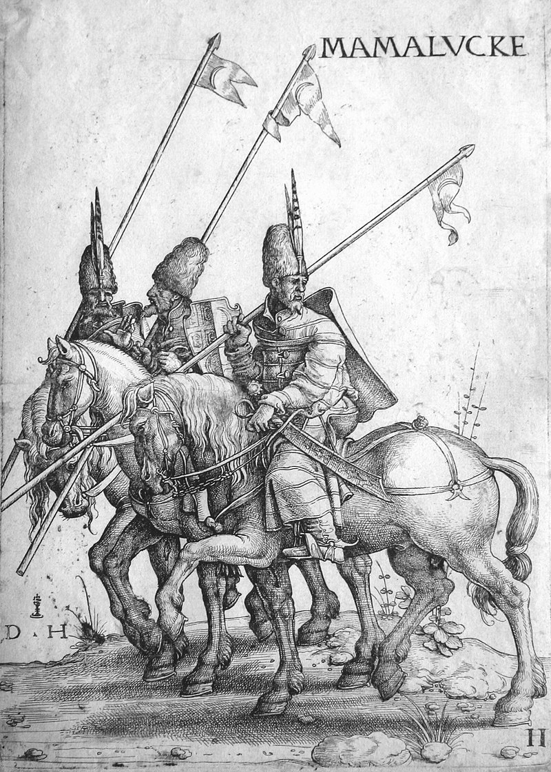ColorImperio's tweet photo. El Imperio Mameluco dominó Egipto y Oriente Medio durante casi 3 siglos. Los mamelucos eran adquiridos como esclavos siendo niños, entrenados en artes militares y en una fidelidad absoluta a sus dueños. Descúbrelo en #Elcolordelimperio
#NovelaHistorica https://t.co/fjFU60P6vw