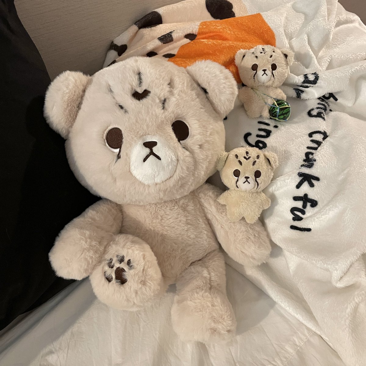 maddog_MYGO's tweet photo. [MY GO🇲🇾] 𝐂𝐡𝐞𝐞𝐭𝐚𝐡 𝐋𝐞𝐞💘𝟑𝐫𝐝 Stock Sale by @cheetah_lee_

🐾10cm Cheetah Lee (RM61)
🐾40cm Cheetah Lee (RM158)
🐾40cm Cheetah Lee +Sticker (RM158)

-You only need to pay when the order is secured 

-2nd payment needed
-Deadline: 6:45pm (10/8)

DM to order!!🥰 https://t.co/2Fv831wX7j